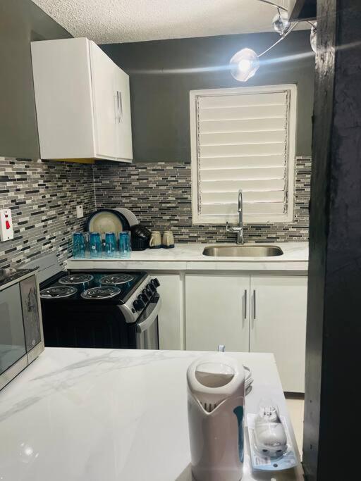 New Kingston Retreat Apartment ภายนอก รูปภาพ